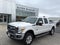 2013 Ford Super Duty F-250 SRW Platinum