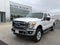 2013 Ford Super Duty F-250 SRW Platinum