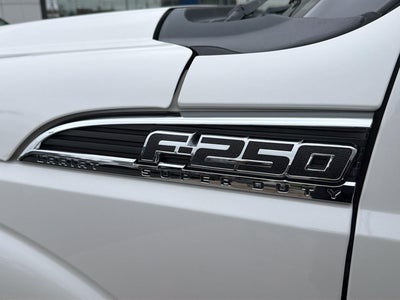 2013 Ford Super Duty F-250 SRW Platinum